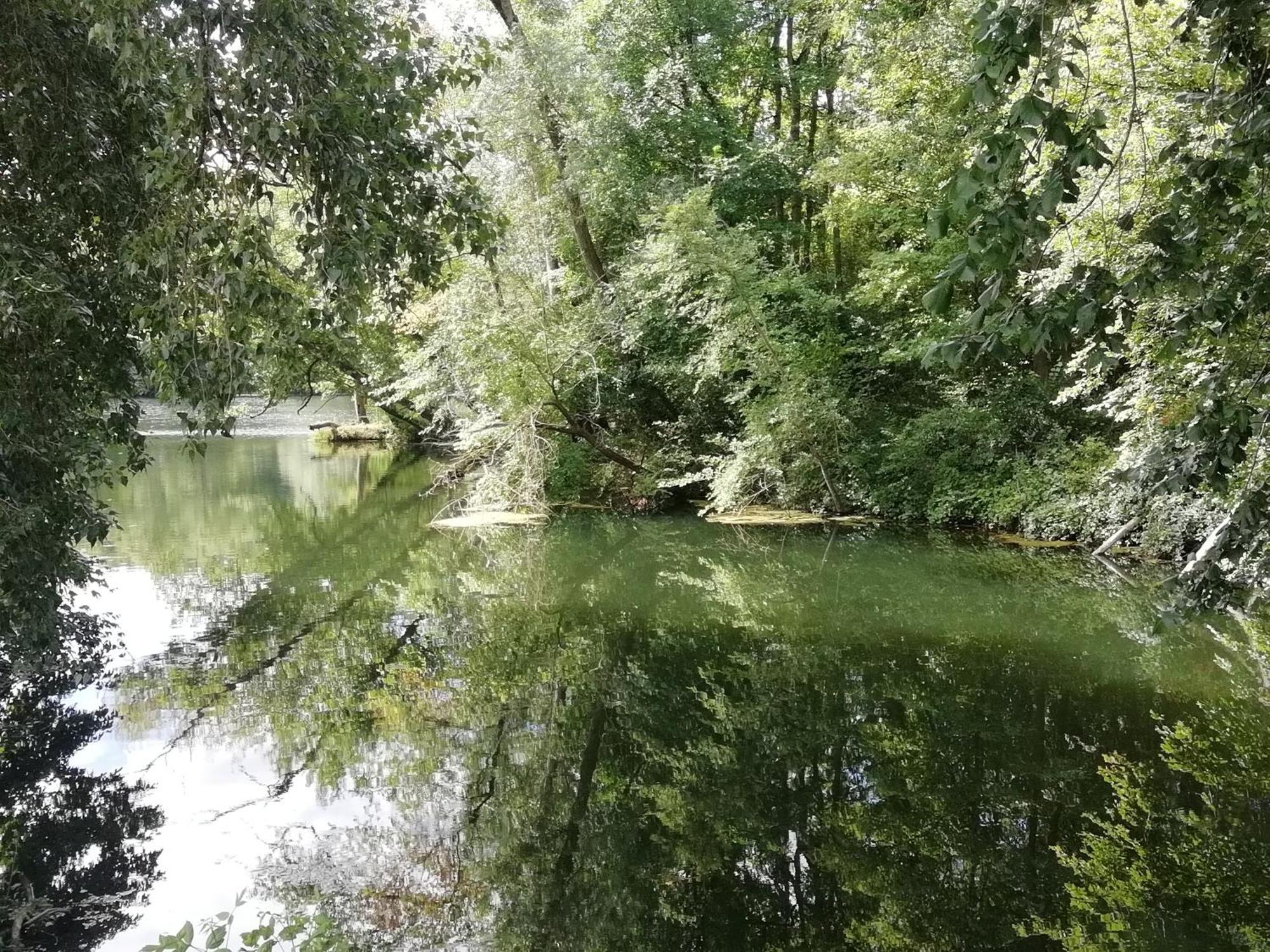 Studio Au Coeur De La Vallee De La Loire Azay-sur-Cher Dış mekan fotoğraf
